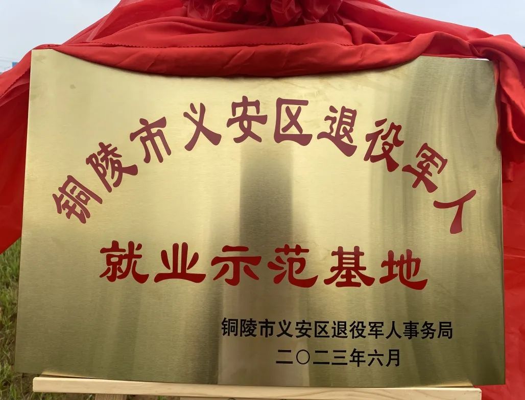BTI体育·(中国区)官方网站 -APP下载